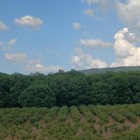 Il Sartore Vetralla Esterno foto