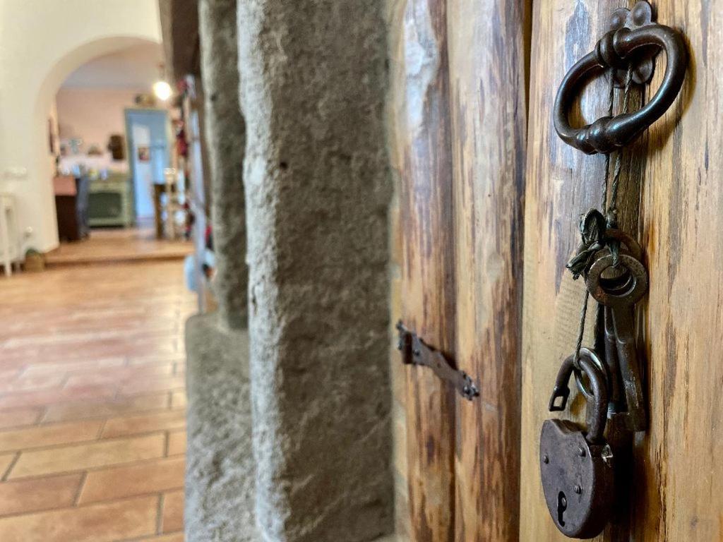 Il Sartore Vetralla Esterno foto