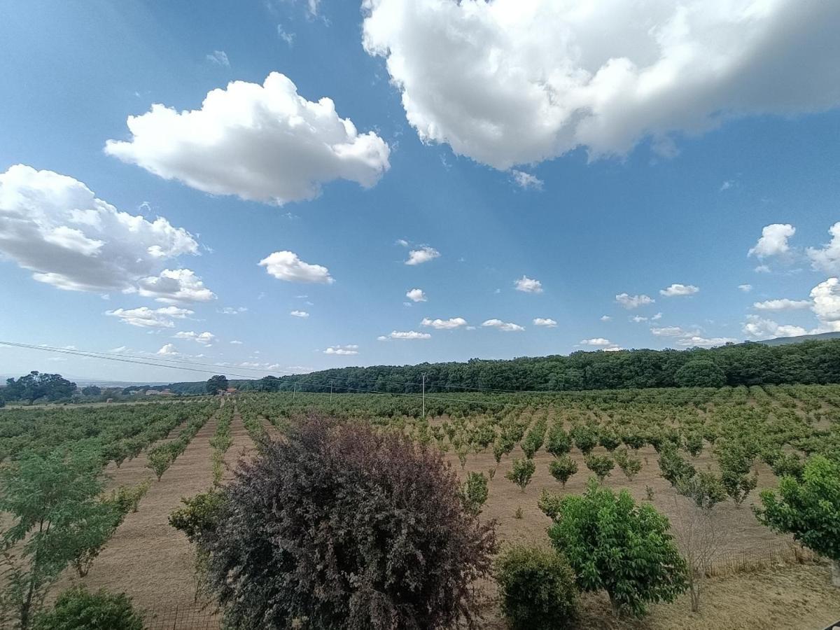 Il Sartore Vetralla Esterno foto